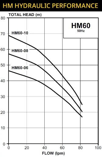 Picture of Davey HM60-10T Pressure Pump with Torrium2® Intelligent Controller - $1,476.00 Inc. GST